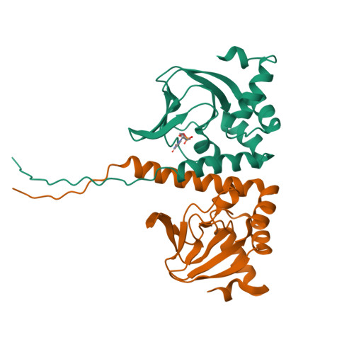 RCSB PDB 8JSK Crystal Structure Of An N Terminal Cyclic Nucleotide