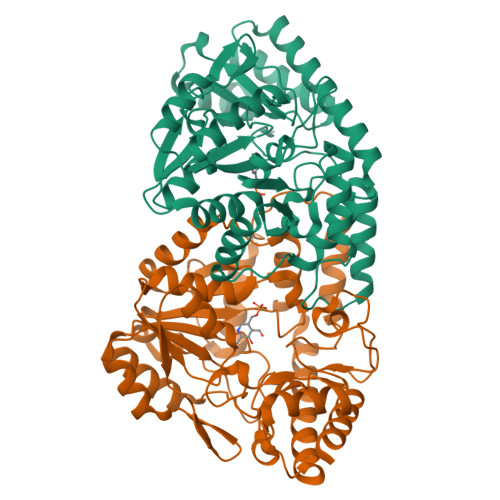 Rcsb Pdb Juj Crystal Structures Of Cystathionine Beta Lyase From