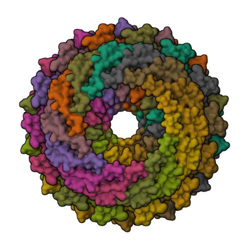 Rcsb Pdb Jvb Cryo Em Structure Of The Type Ii Secretion System