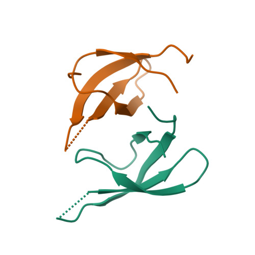 RCSB PDB 8JVU Crystal Structure Of The Chimeric Protein TkoL2 V1 2