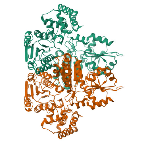 RCSB PDB 8K03 CryoEM Structure Of The Transketolase ANIP From