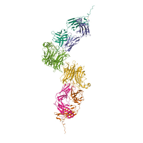 Rcsb Pdb K D Cryo Em Structure Of Conformation Of Complex Of