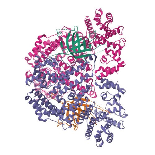 Rcsb Pdb K Cryo Em Structure Of Dsr Ttp