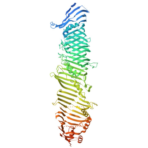 RCSB PDB 8KBY Cryo EM Structure Of ATG2A