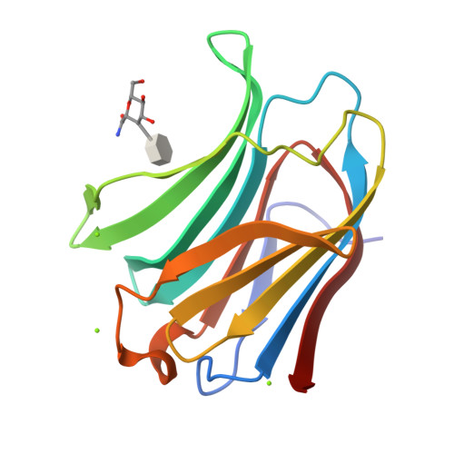 RCSB PDB 8OJM Galectin 3 In Complex With 2 6 Anhydro 3 Deoxy 3 S