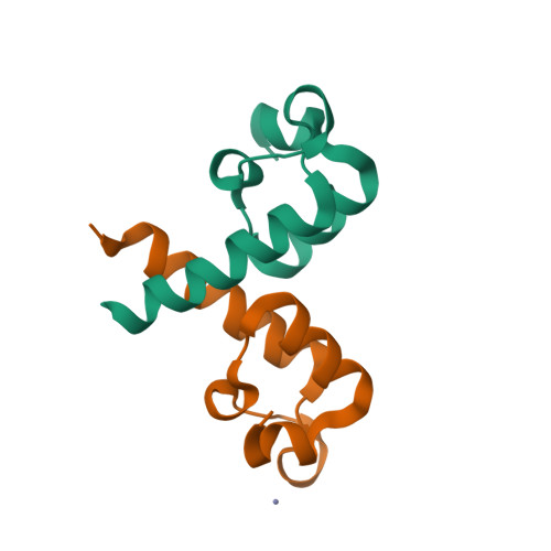 RCSB PDB 8OQJ Peripheral Subunit Binding Domain Of The E Coli