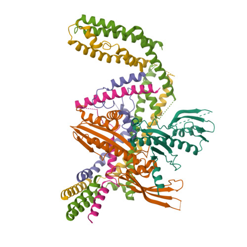 RCSB PDB 8OVX Cryo EM Structure Of Yeast CENP OPQU Bound To The