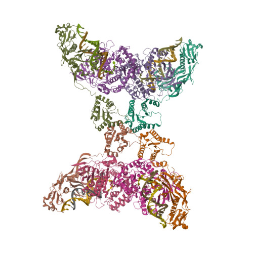 Rcsb Pdb Oz Cryoem Structure Of Sparta Complex Ligand Free