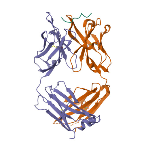 Rcsb Pdb P I Crystal Structure Of The H Fab Fragment Bound To