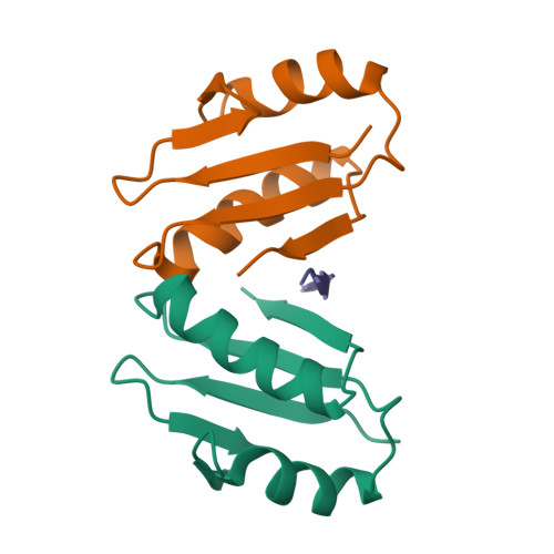 RCSB PDB 8P9R Structure Of The Periplasmic Domain Of ExbD From E