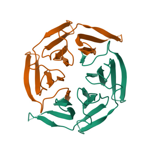 RCSB PDB 8PKS Low Resolution Crystal Structure Of Keap1 456 A