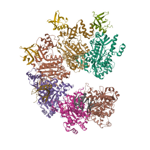 RCSB PDB 8PTM Structure Of The Transcription Termination Factor Rho