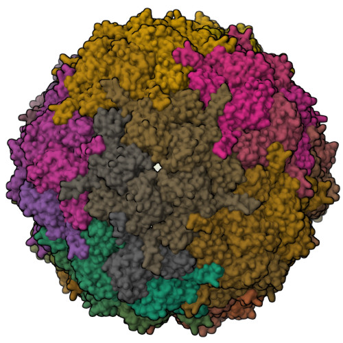 Rcsb Pdb Pys Cryo Em Structure Of The Dyp Peroxidase Loaded