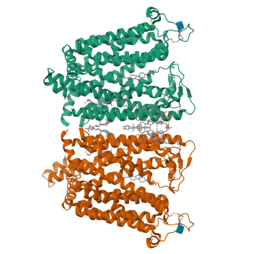 Rcsb Pdb Qsk Cryo Em Structure Of Human Slc A Dimer In Outward