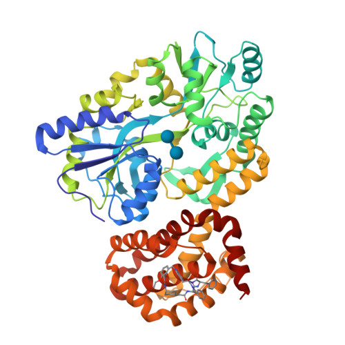 RCSB PDB 8QSO Crystal Structure Of Human Mcl 1 In Complex With