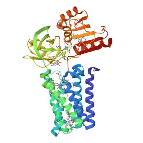 RCSB PDB 8QTA Cryo EM Structure Of Streptococcus Pneumoniae NADPH