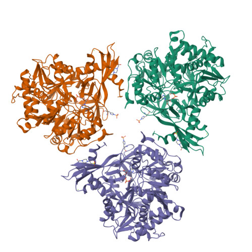 Rcsb Pdb Rpl Forming Acetyl Coa Synthetase From Chloroflexota