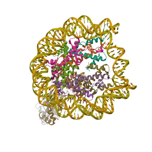 Rcsb Pdb Sna Cryo Em Structure Of The Human Nucleosome Core