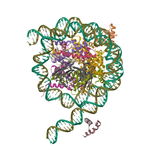 Rcsb Pdb Sps High Resolution Structure Of Esrrb Nucleosome Bound