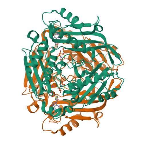 Rcsb Pdb Swa Crystal Structure Of The Human S Adenosylmethionine