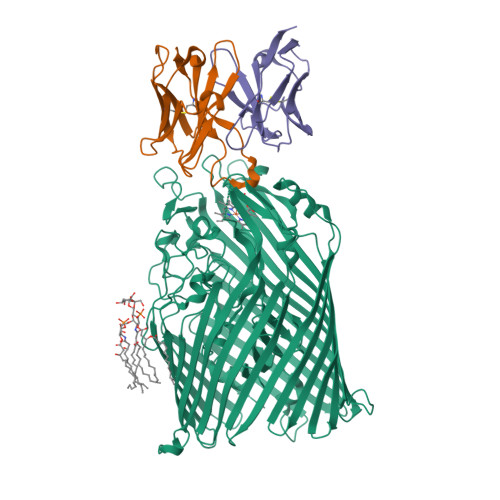 RCSB PDB 8THE Cryo EM Structure Of Pseudomonas Aeruginosa TonB