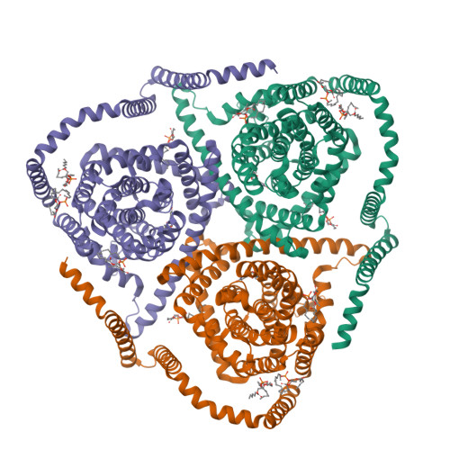 Rcsb Pdb Tz Cryo Em Structure Of Bovine Concentrative Nucleoside