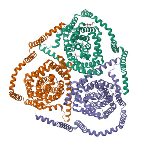 Rcsb Pdb Tzd Cryo Em Structure Of Bovine Concentrative Nucleoside