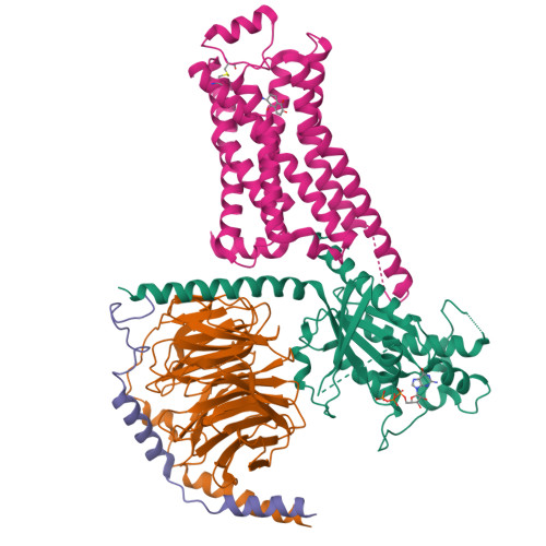 Rcsb Pdb Unp Cryoem Structure Of Beta Adrenergic Receptor In