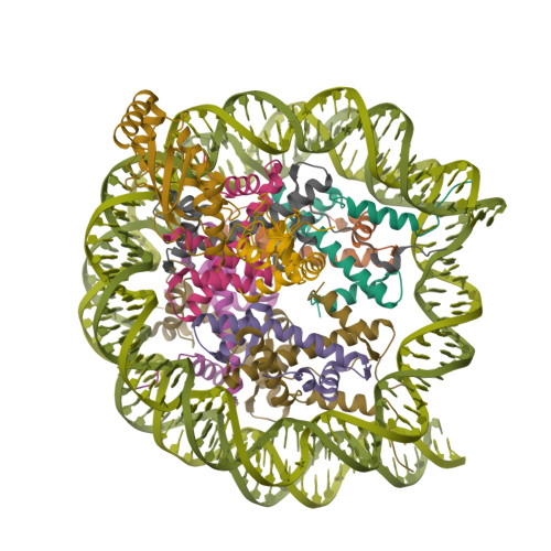 Rcsb Pdb Upf Cryo Em Structure Of The Human Nucleosome Core