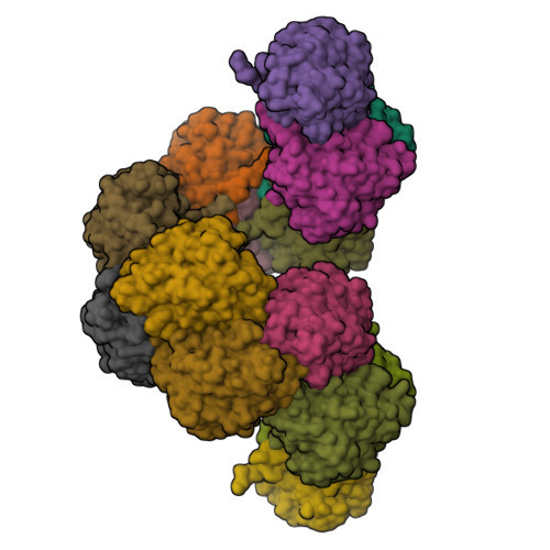 RCSB PDB 8UXU Cryo EM Structure Of A Bacterial Nitrilase Filament