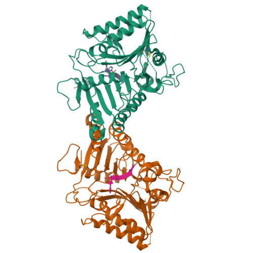 Rcsb Pdb V Crystal Structure Of Human Pld Co Crystallized With