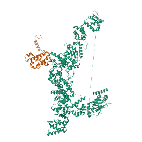 Rcsb Pdb V L Microtubule Inner Proteins In The Nm Doublet