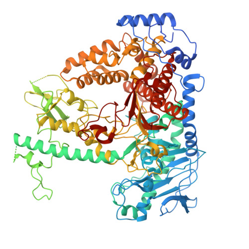 Rcsb Pdb V D Human Mitochondrial Dna Polymerase Catalytic Subunit