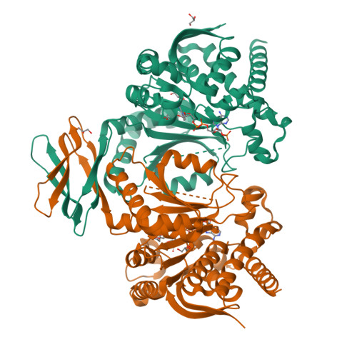 Rcsb Pdb Vh Crystal Structure Of Human Idh R Q In Complex With