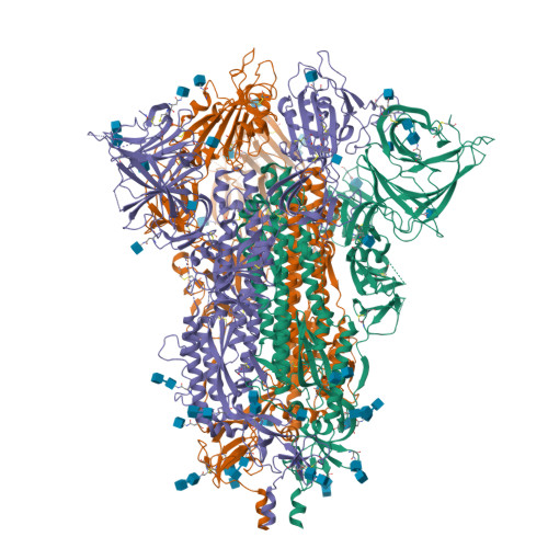 Rcsb Pdb Vkk Cryo Em Structure Of Sars Cov Xbb Spike Protein