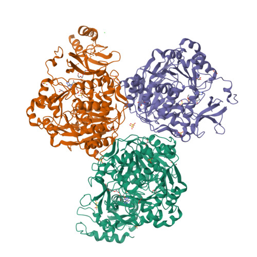 Rcsb Pdb W J Crystal Structure Of Acetyl Coa Synthetase From