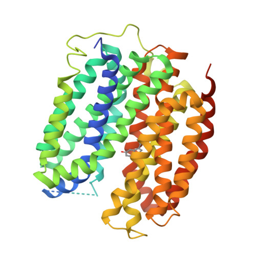 RCSB PDB 8WLM Cryo EM Structure Of Human VMAT2 In Presence Of 5 HT