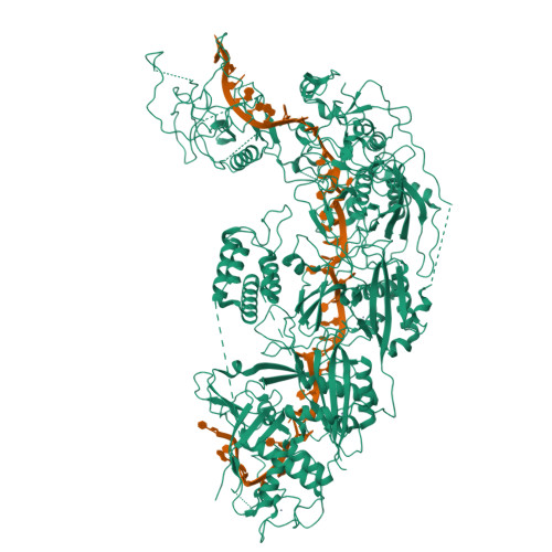 Rcsb Pdb Wm Cryo Em Structure Of Dicas In Complex With Crrna