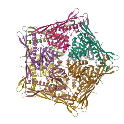 RCSB PDB 8WON Cryo EM Structure Of The 10 Subunits Mmp1 Complex From