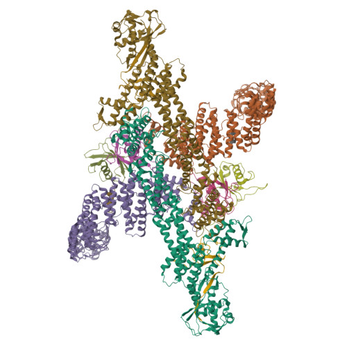 Rcsb Pdb Wqe Cryo Em Structure Of Cul Rbx Elob Eloc Fem B Bound