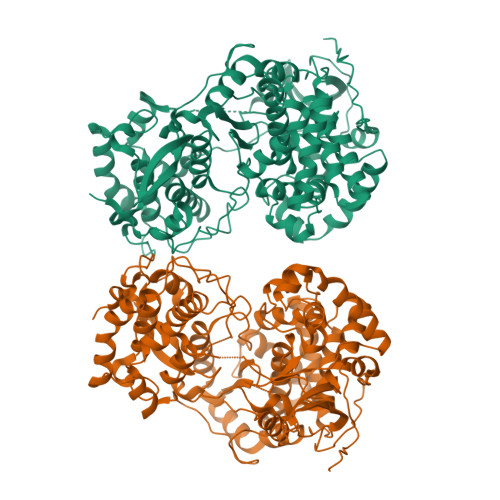 RCSB PDB 8WU3 Crystal Structure Of RNA Dependent RNA Polymerases