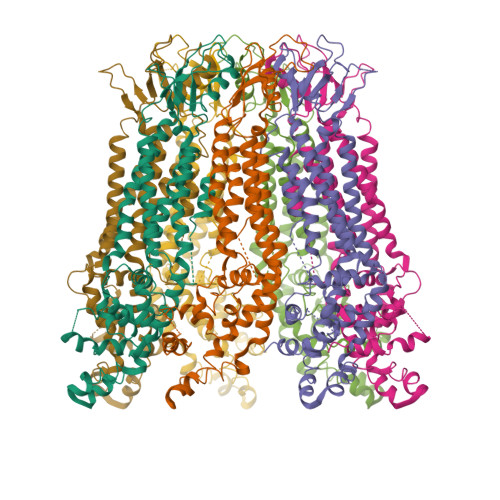 Rcsb Pdb Wza Cryo Em Structure Of Human Pannexin In Nanodisc