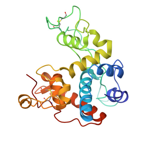 RCSB PDB 8X2W Crystal Structure Of The Ancestral GH19 Chitinase