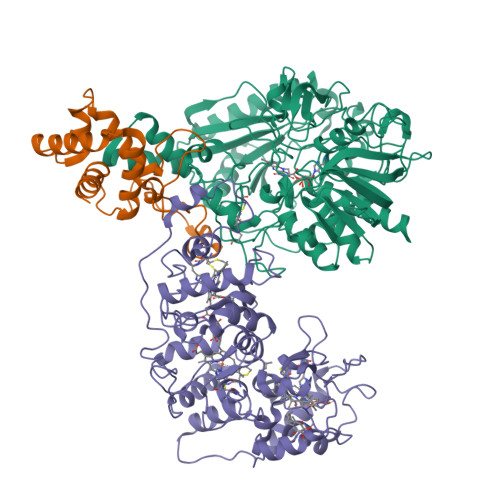 RCSB PDB 8XCN Cryo EM Structure Of Membrane Bound Fructose