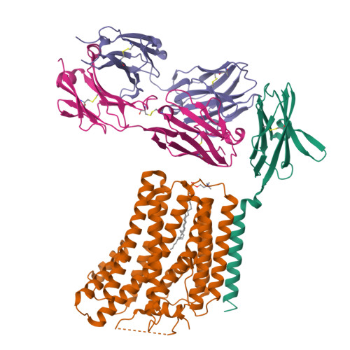 RCSB PDB 8XEJ Cryo EM Structure Of Human XKR8 Basigin Complex In