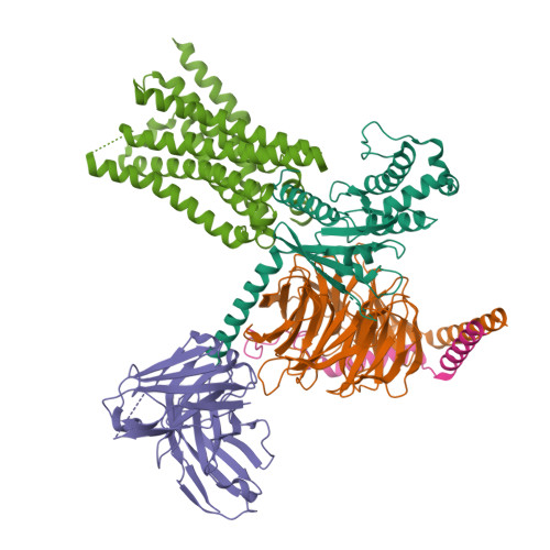 Rcsb Pdb Xoh Cryo Em Structure Of Gpr Gq Complex Structure In The