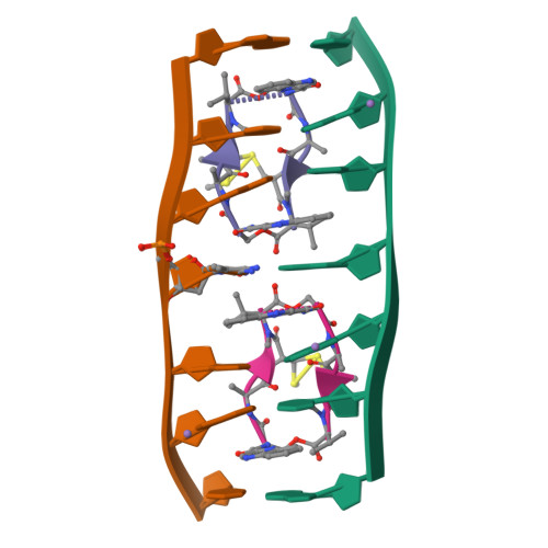 Rcsb Pdb Xp Crystal Structure Of D Acgmccgt Acggcgt In Complex