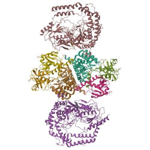 Rcsb Pdb Xud Crystal Structure Of Adaptor Nlpi In Complex With