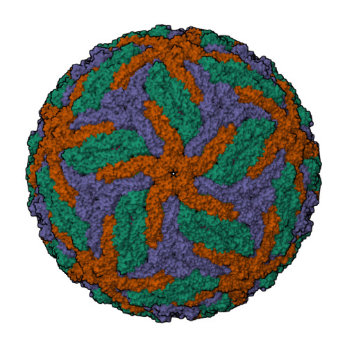 Rcsb Pdb Y G Cryo Em Structure Of Dengue Virus Serotype Strain