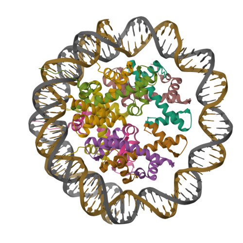 Rcsb Pdb Ybk Cryo Em Structure Of The Human Nucleosome Containing